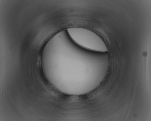 X0000094060123200710190942