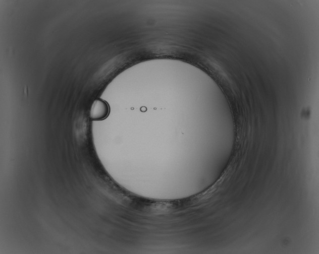 X0000094060124200710190942
