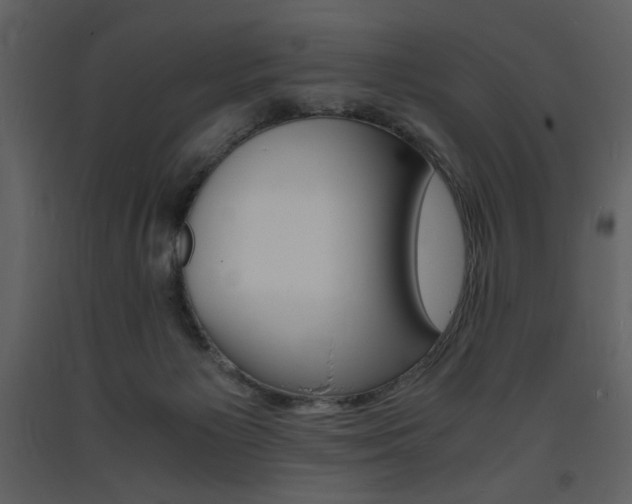 X0000094060125200710190942