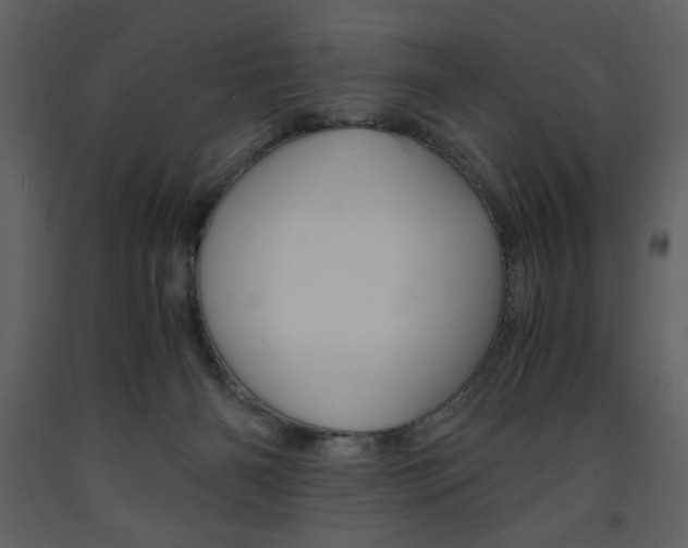 X0000094060126200710190942