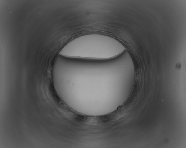 X0000094060127200710190942