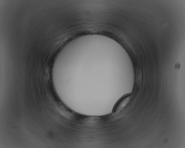 X0000094060128200710190942