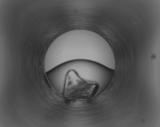 X0000094060129200710190942
