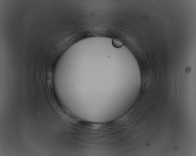 X0000094060130200710190942