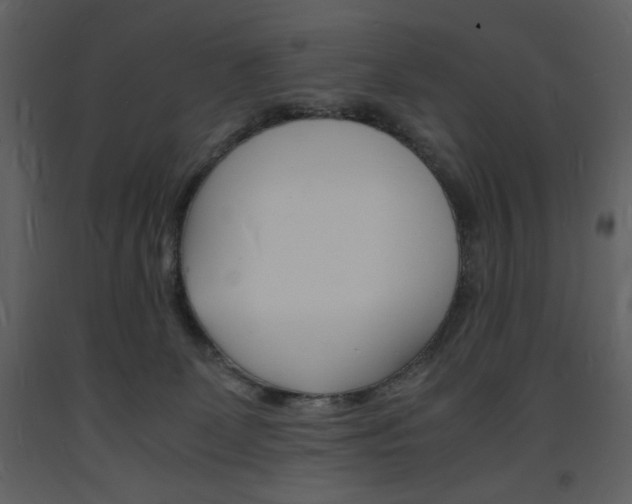 X0000094060131200710190942
