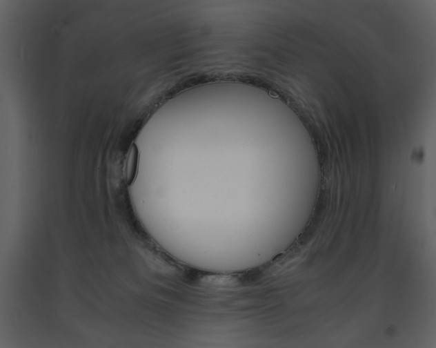 X0000094060133200710190942