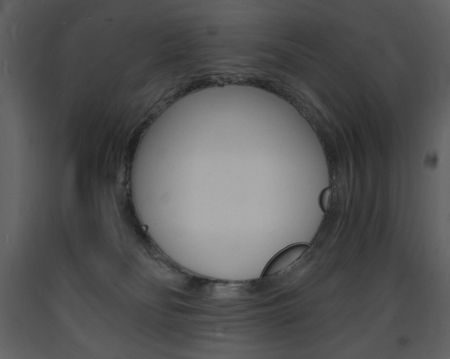 X0000094060134200710190942