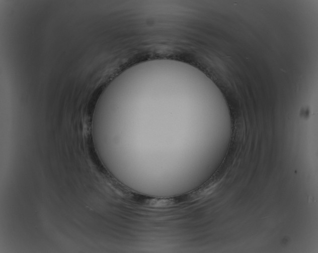 X0000094060135200710190942