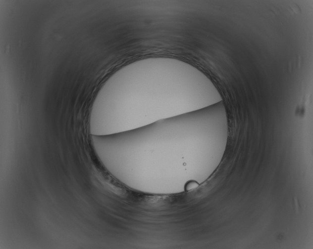 X0000094060136200710190942
