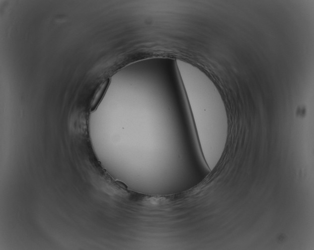X0000094060137200710190942