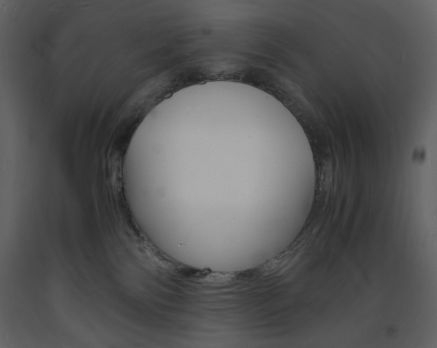 X0000094060138200710190942