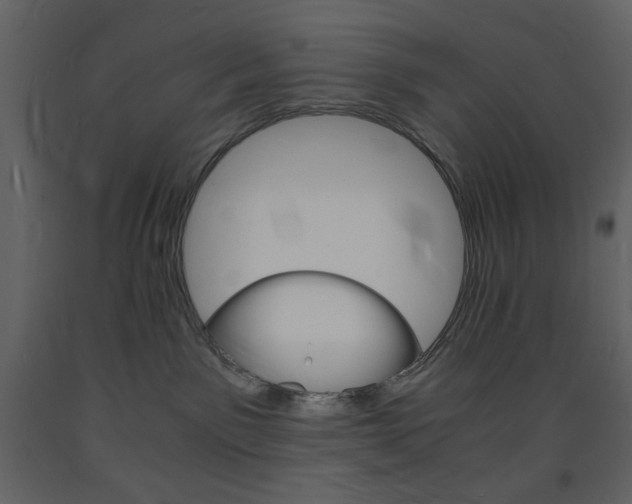 X0000094060141200710190942