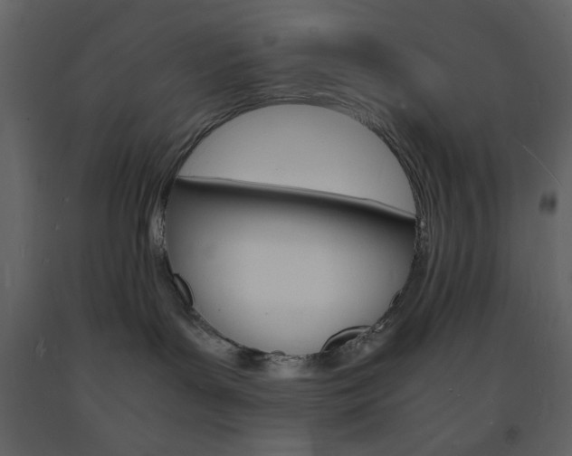 X0000094060143200710190942