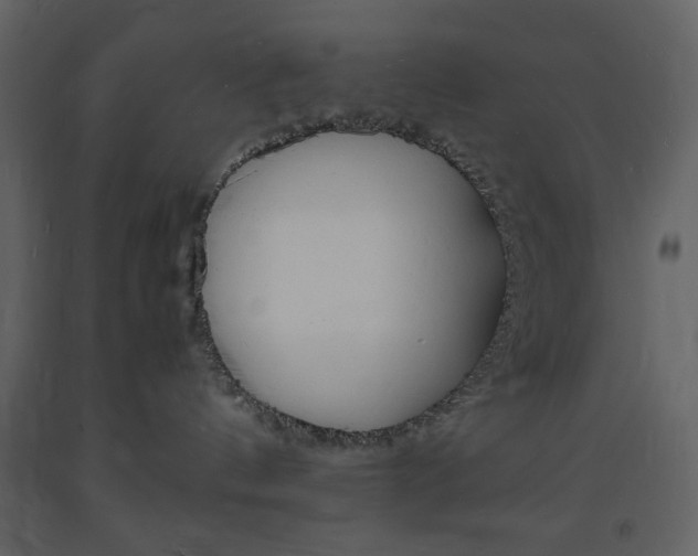 X0000094060144200710190942