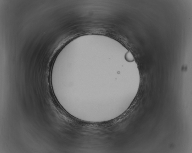 X0000094060146200710190941