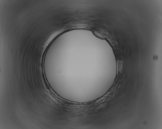 X0000094060147200710190941