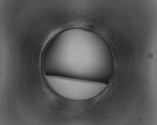 X0000094060148200710190941