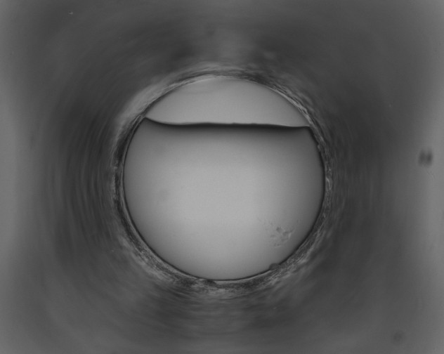 X0000094060149200710190941