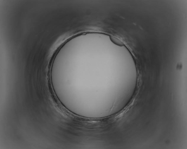 X0000094060151200710190941