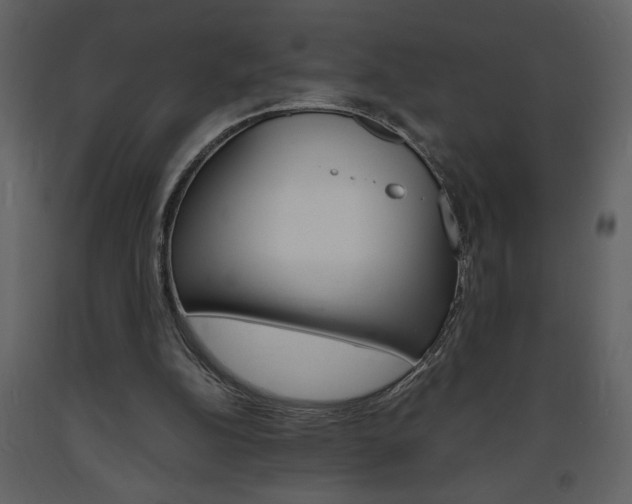 X0000094060152200710190941