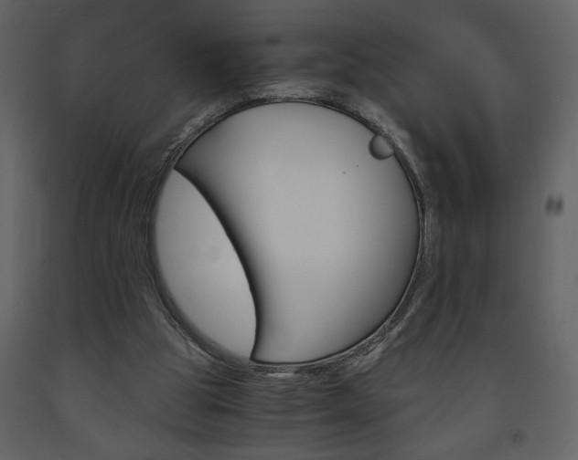X0000094060153200710190941