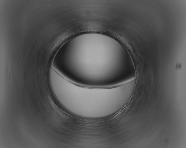 X0000094060154200710190941