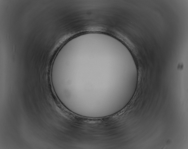 X0000094060155200710190941