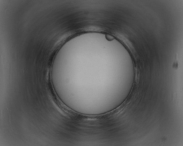 X0000094060157200710190941