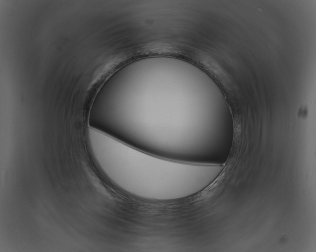 X0000094060158200710190941