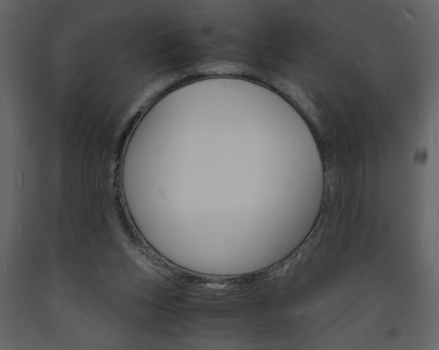X0000094060159200710190941