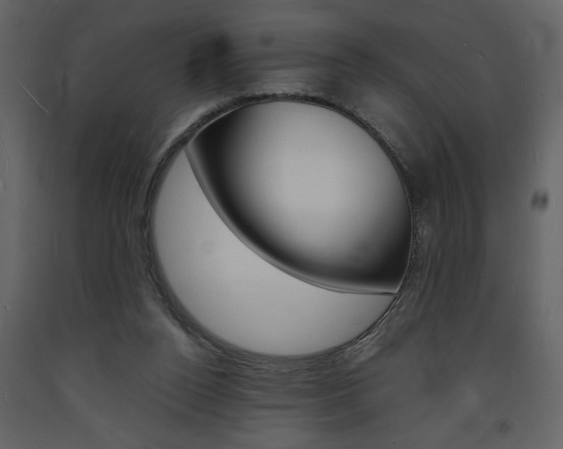 X0000094060160200710190941