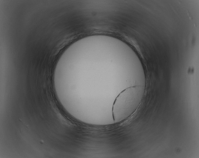X0000094060162200710190941