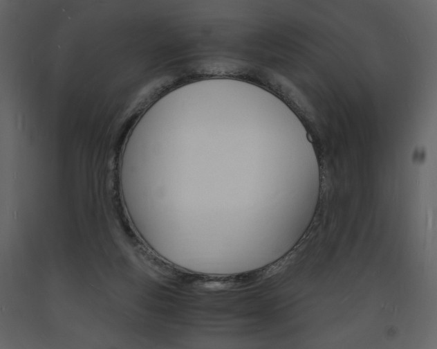 X0000094060163200710190941