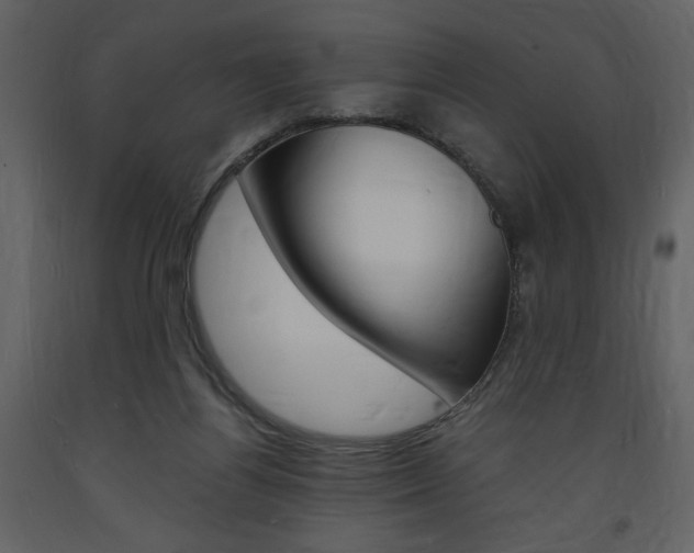 X0000094060164200710190941