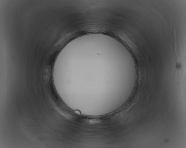 X0000094060165200710190941