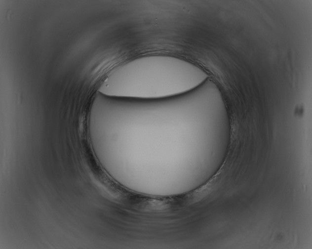 X0000094060166200710190941