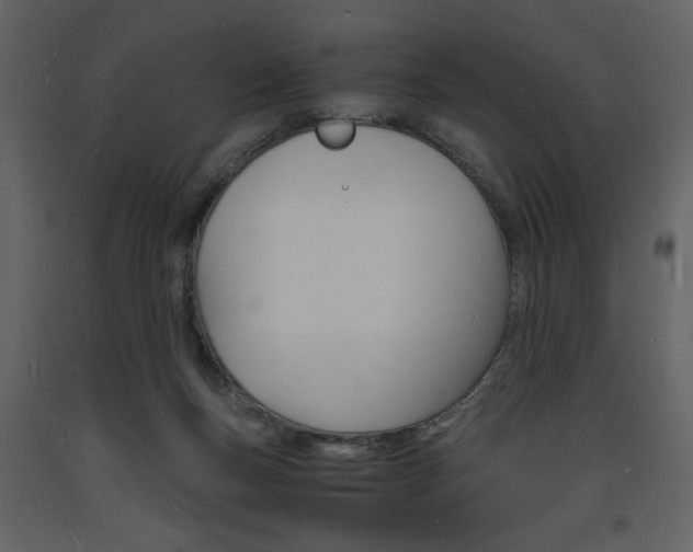 X0000094060167200710190941