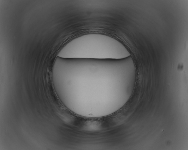 X0000094060169200710190941