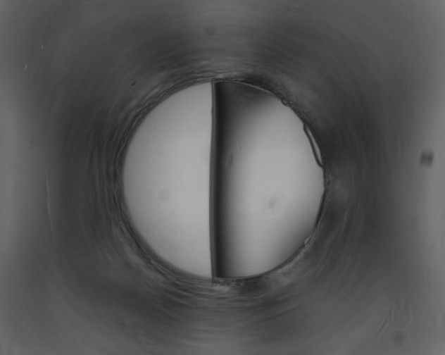 X0000094060170200710190941