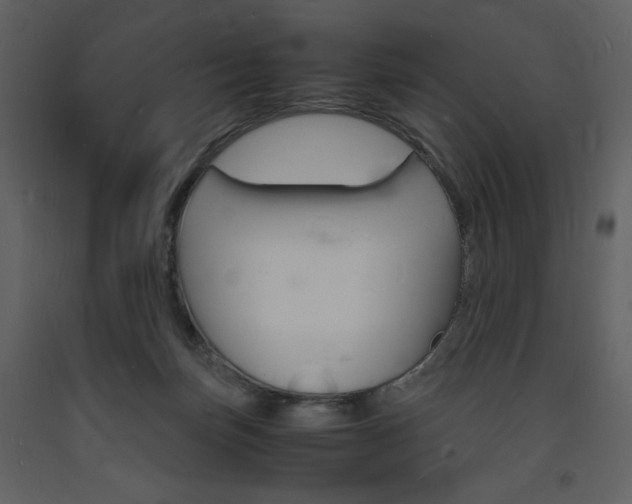 X0000094060171200710190941