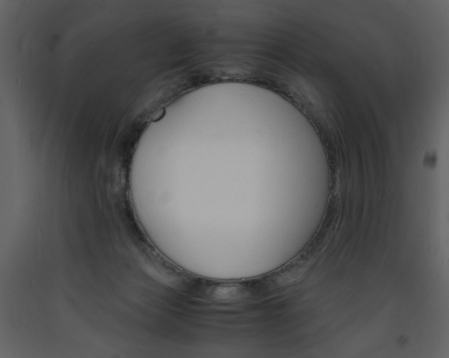X0000094060173200710190941