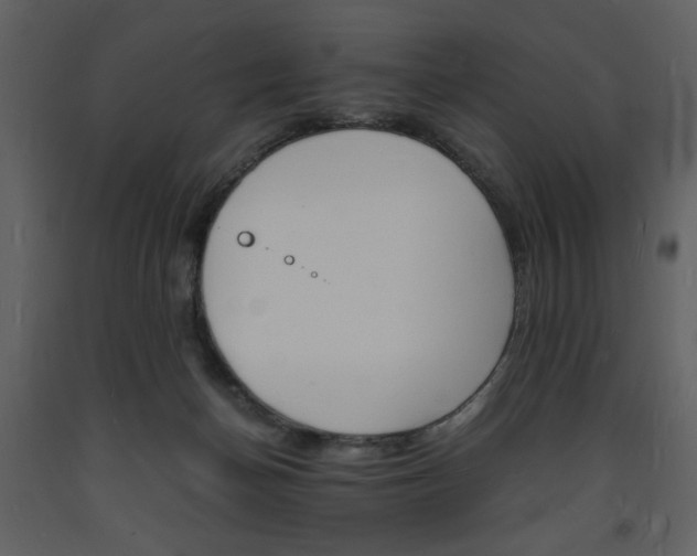 X0000094060174200710190941