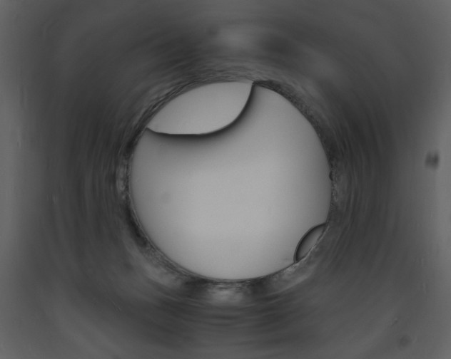 X0000094060175200710190941