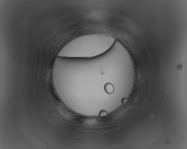 X0000094060177200710190941