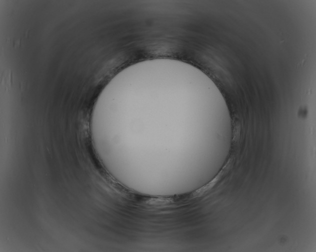 X0000094060179200710190941
