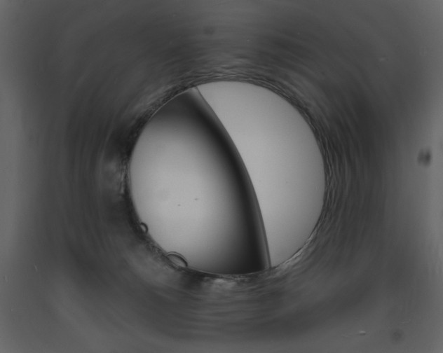 X0000094060180200710190941