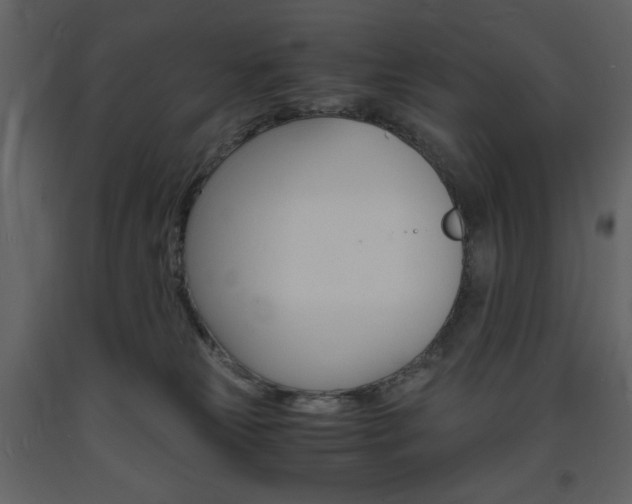X0000094060181200710190941