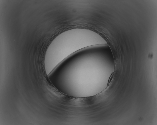 X0000094060186200710190941