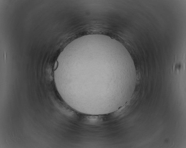 X0000094060187200710190941