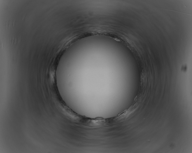 X0000094060188200710190941
